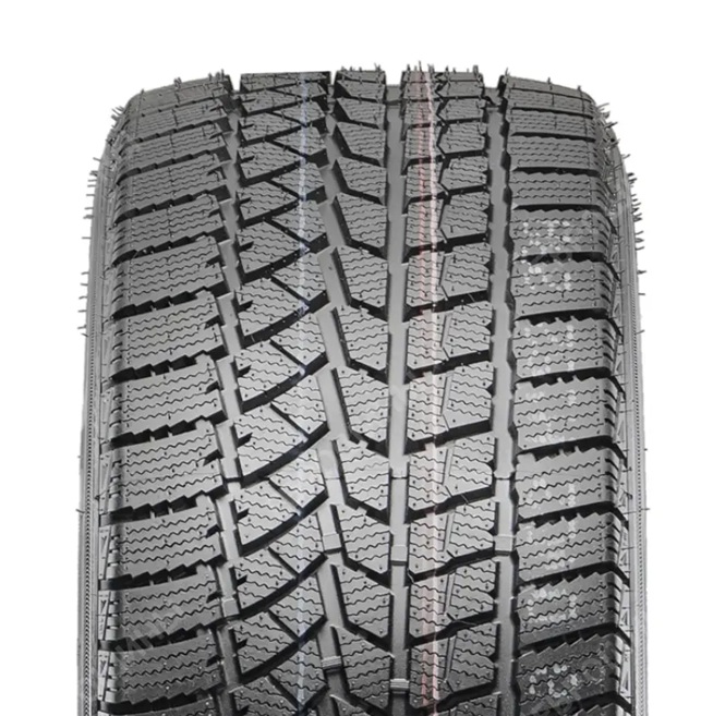 Crossleader-Winterking-DW02-2