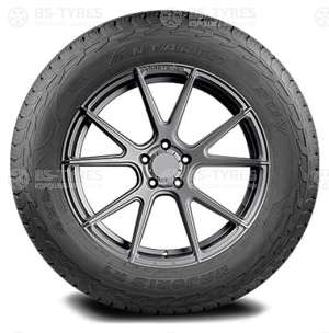 Antares Majoris R1 255/55 R20 110H