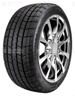 Centara Winter RX621 205/50 R17 89T