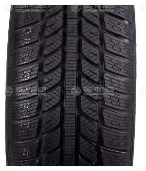 Roadx Frost WH01 245/70 R16 107T